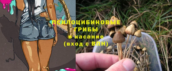 2c-b Волосово
