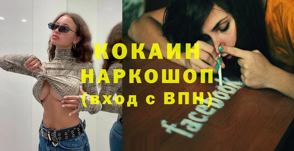 гидра Вязьма