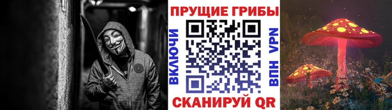 Галлюциногенные грибы Cubensis  где можно купить   Высоцк 